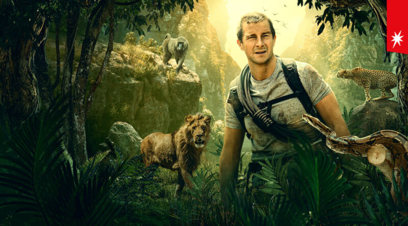 Bear Grylls está de volta em VOCÊ RADICAL – SAFARI, um especial interativo