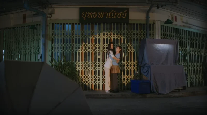 Whale Store XOXO: uma graciosidade mais adulta